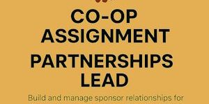 Partnerships Lead – Betwix’d Fraud Squad (Senior Fraud Fighters)